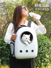 Space Capsule Winter Double Shoulder Pet Supplies Cat Bag